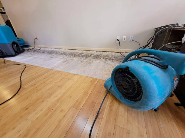 Professional Basement Flood Cleanup technician working in El Granada, CA